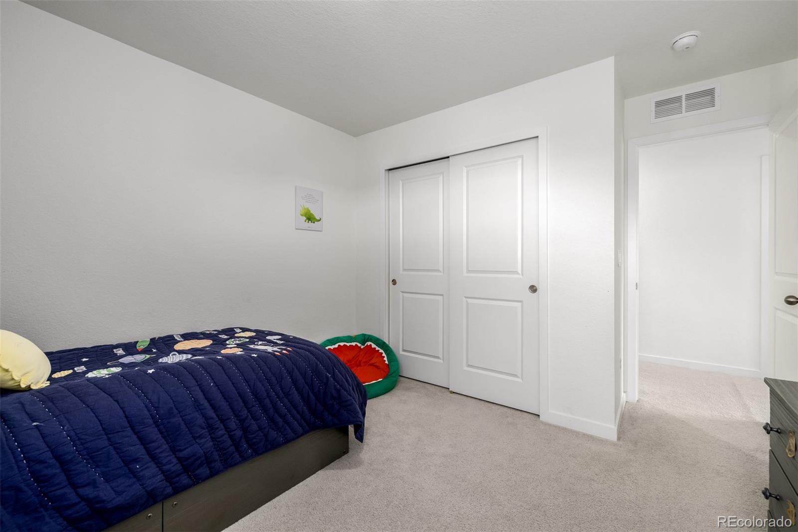 MLS Image #26 for 8184  mt lincoln road,littleton, Colorado