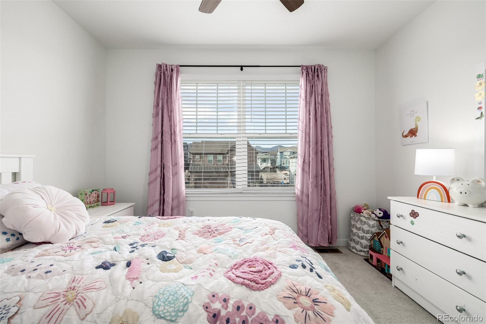 MLS Image #28 for 8184  mt lincoln road,littleton, Colorado