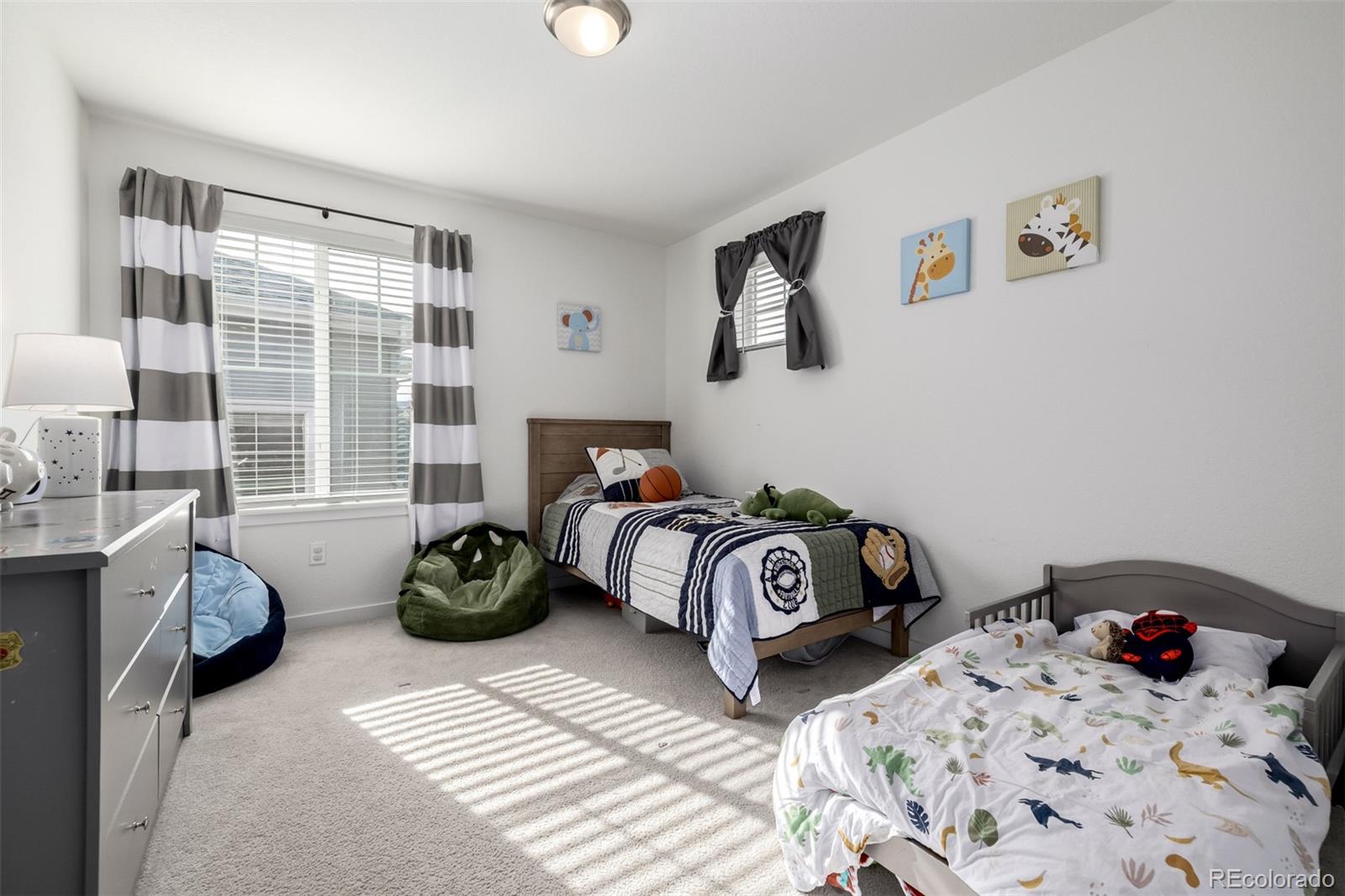 MLS Image #30 for 8184  mt lincoln road,littleton, Colorado