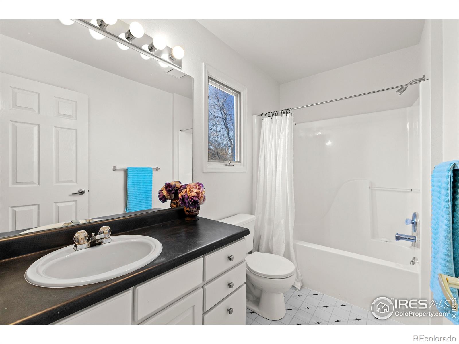 MLS Image #19 for 3533  fieldstone drive,fort collins, Colorado