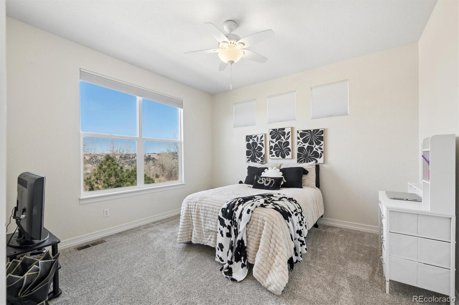 MLS Image #28 for 20201 e euclid lane,aurora, Colorado