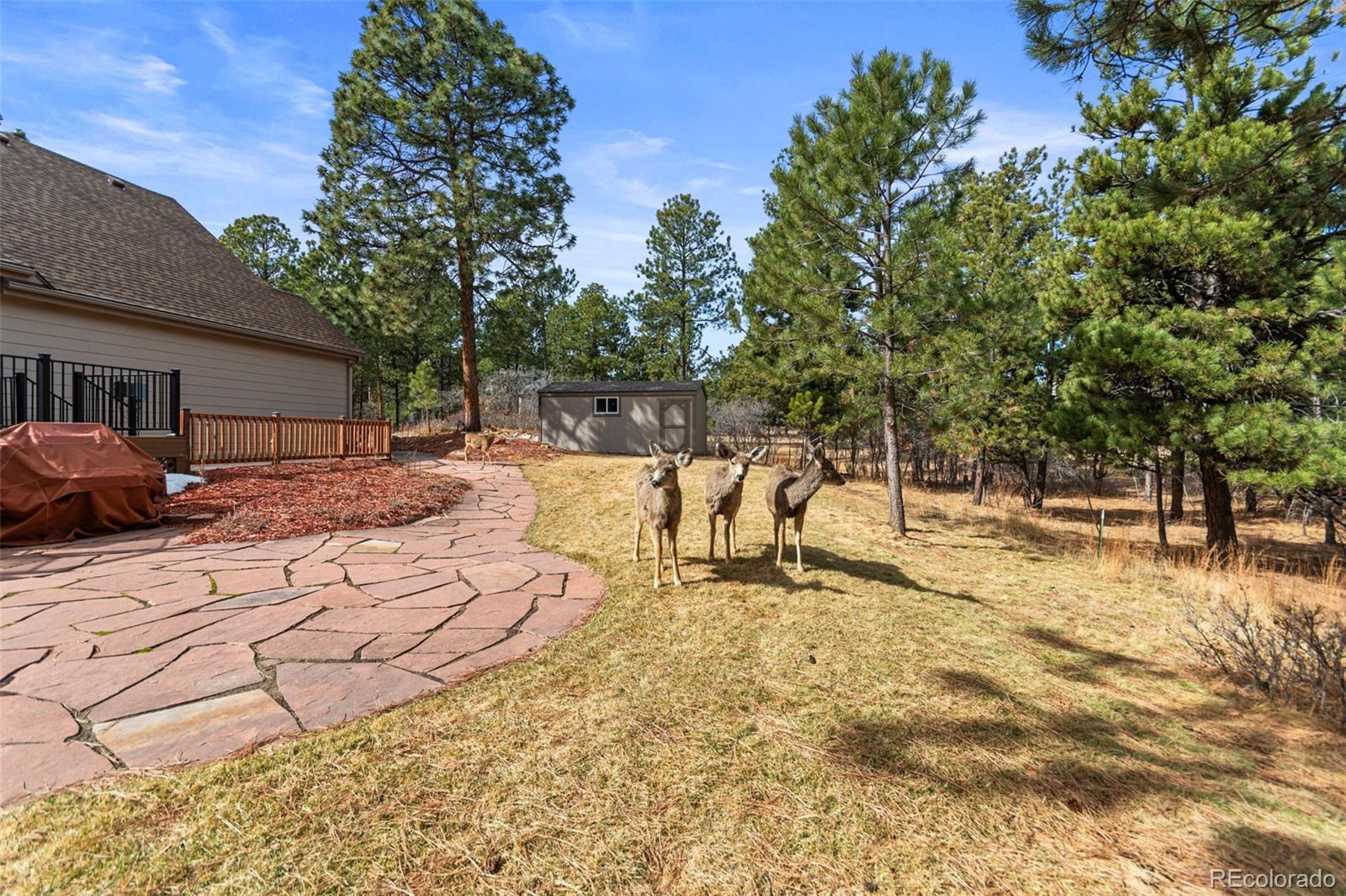 MLS Image #48 for 7635  rollins drive,larkspur, Colorado