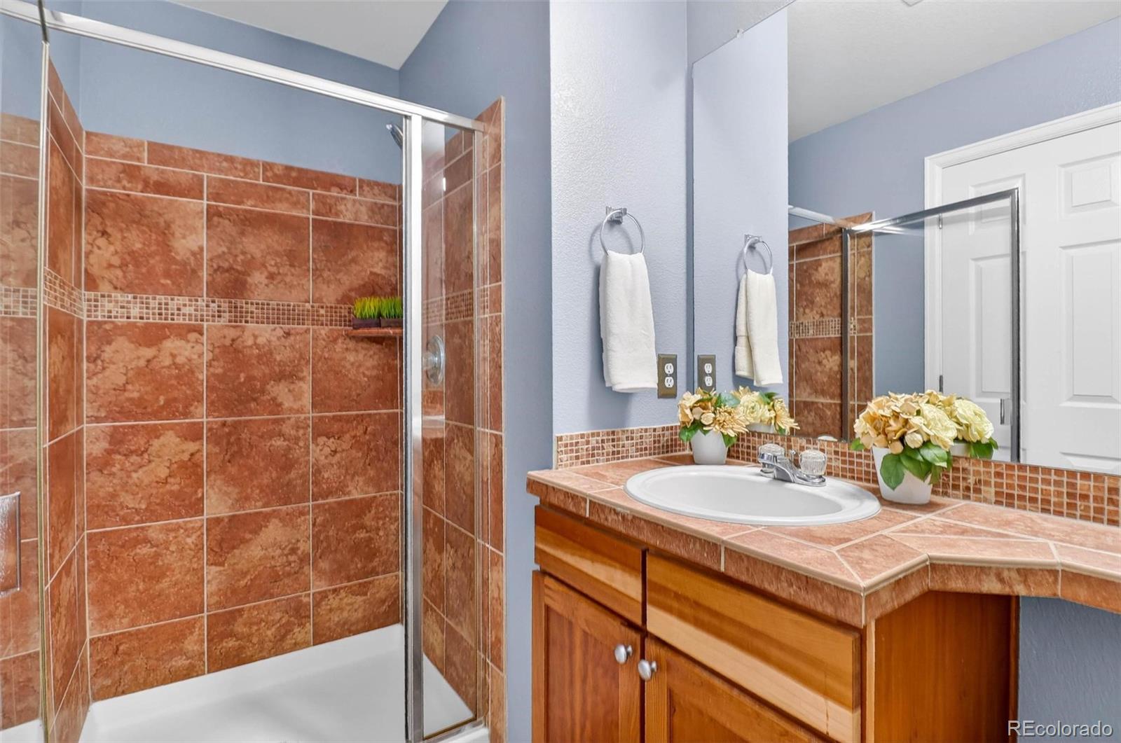 MLS Image #8 for 4054  sandia trail ,castle rock, Colorado