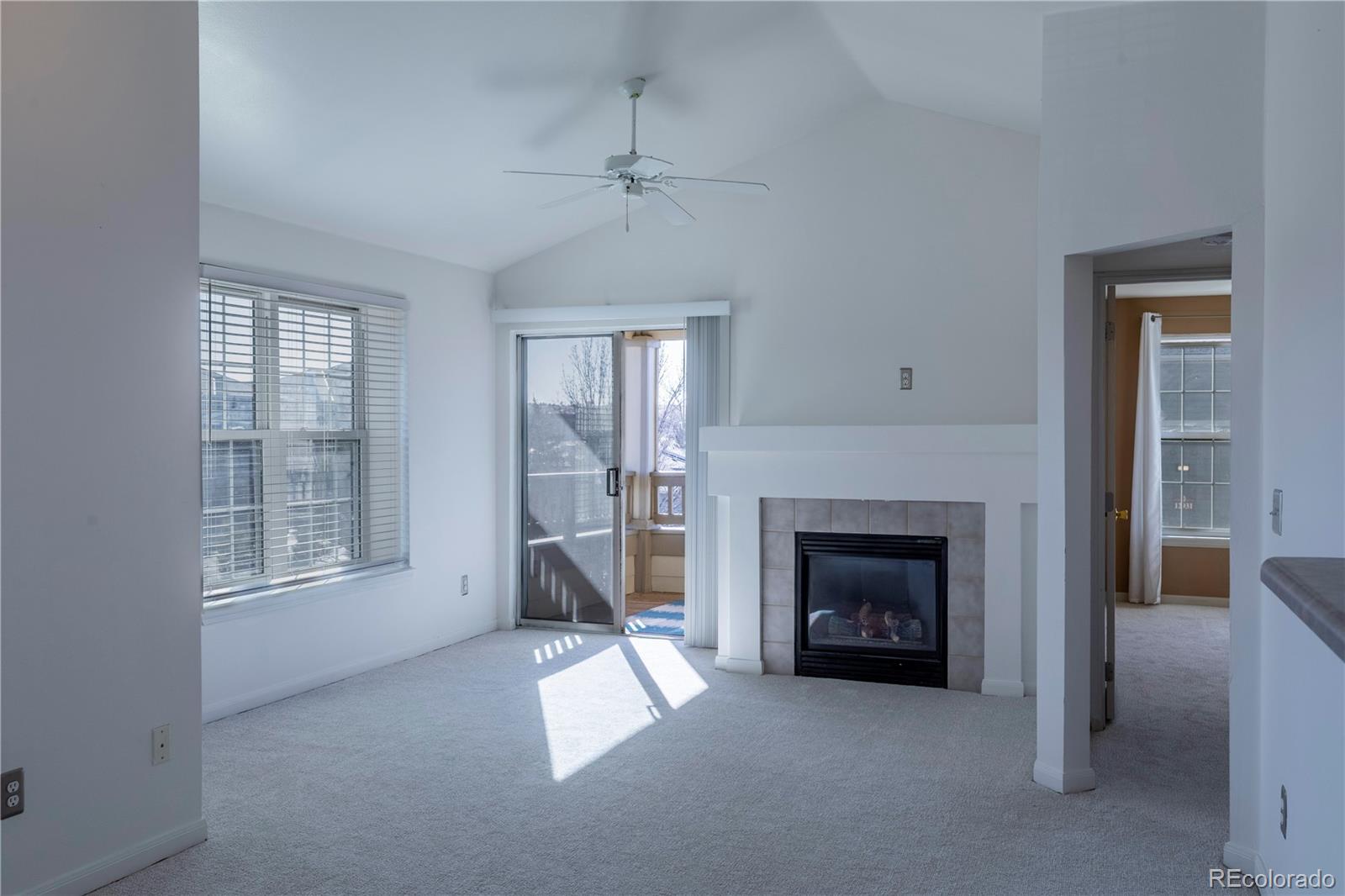 MLS Image #3 for 12920  ironstone way 301,parker, Colorado
