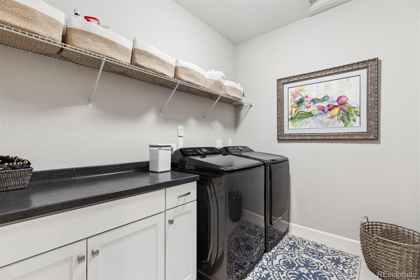 MLS Image #17 for 6872  mentha drive,castle rock, Colorado