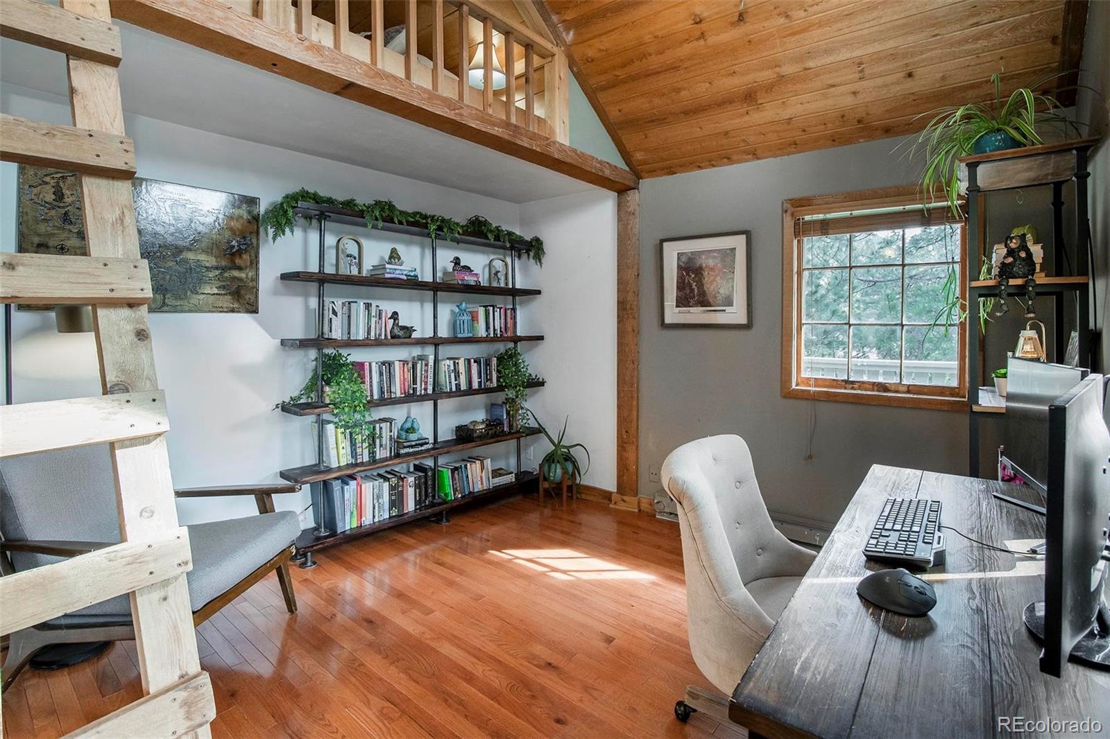 MLS Image #6 for 27225  mountain park road,evergreen, Colorado