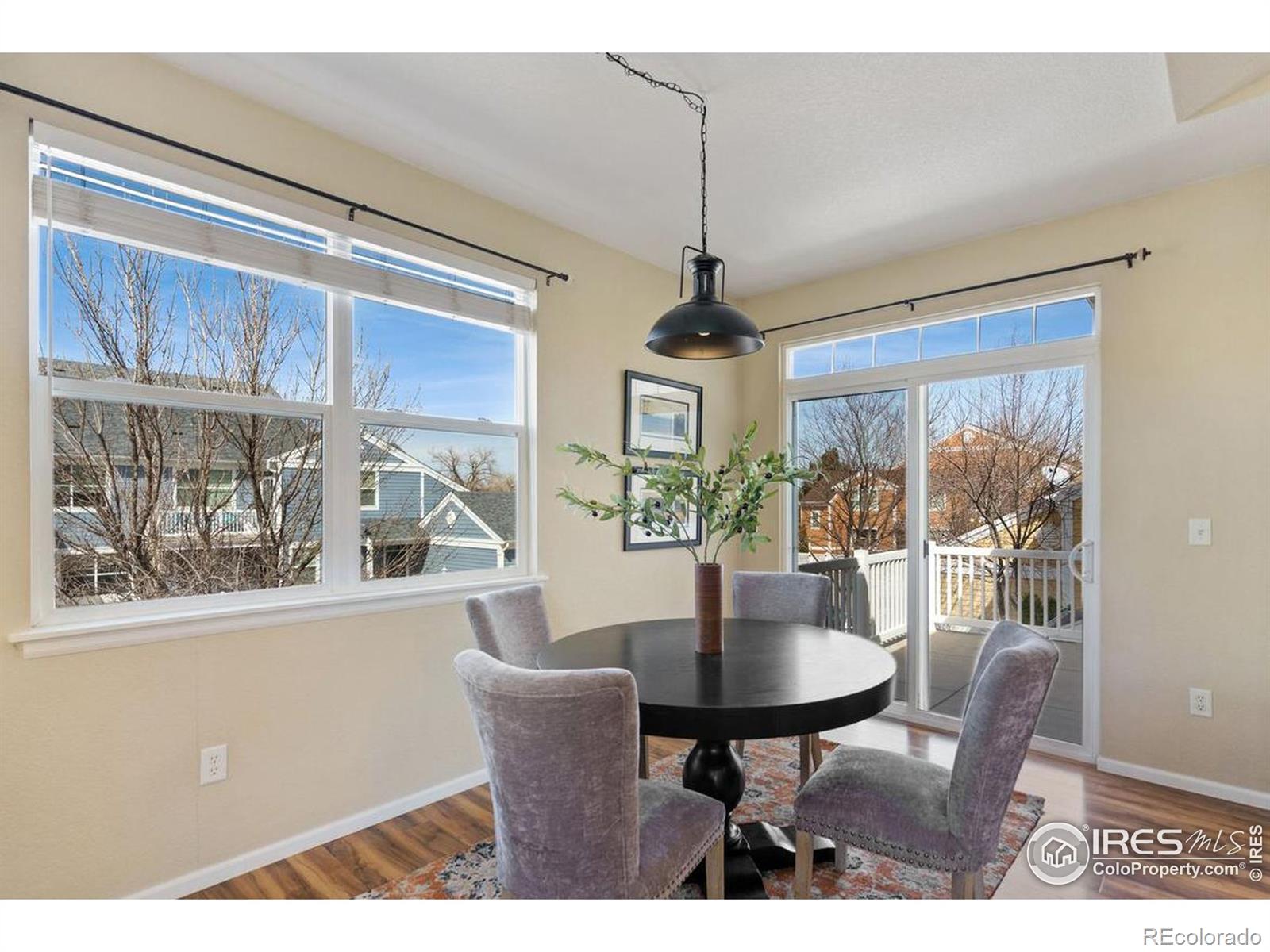 MLS Image #12 for 2139  grays peak drive,loveland, Colorado