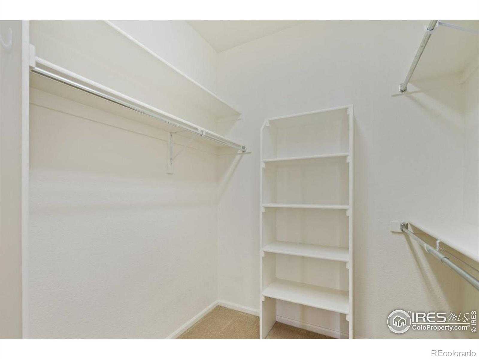 MLS Image #17 for 2139  grays peak drive,loveland, Colorado