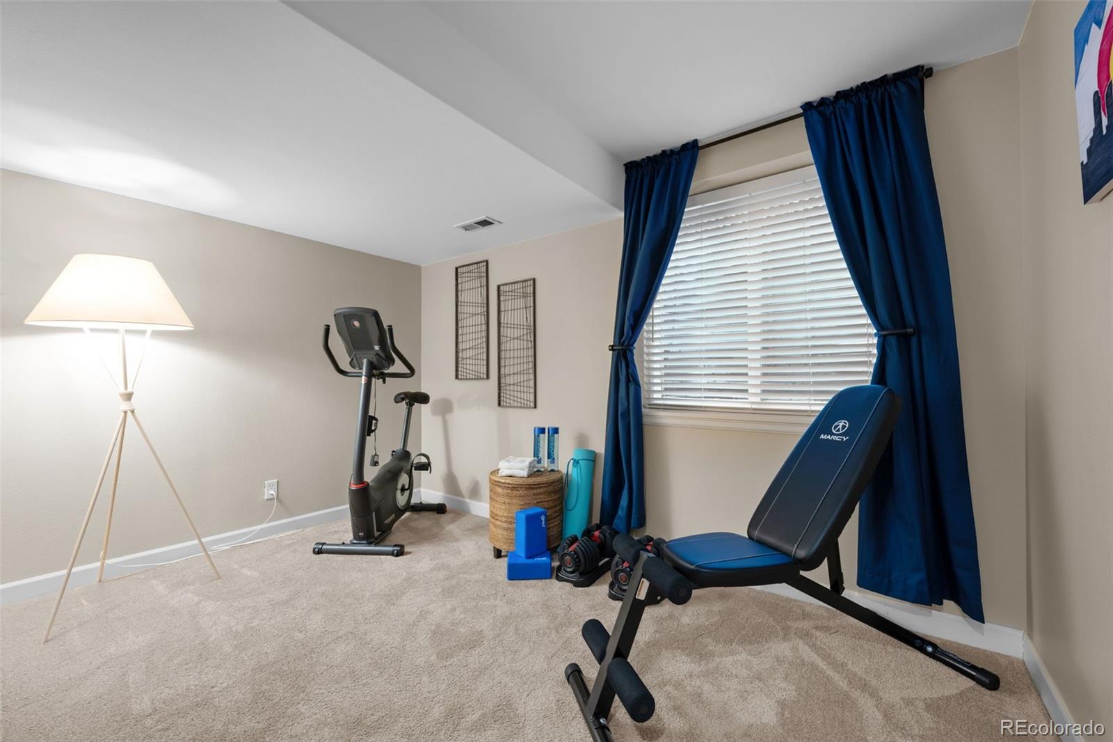 MLS Image #21 for 9805  sydney lane,highlands ranch, Colorado