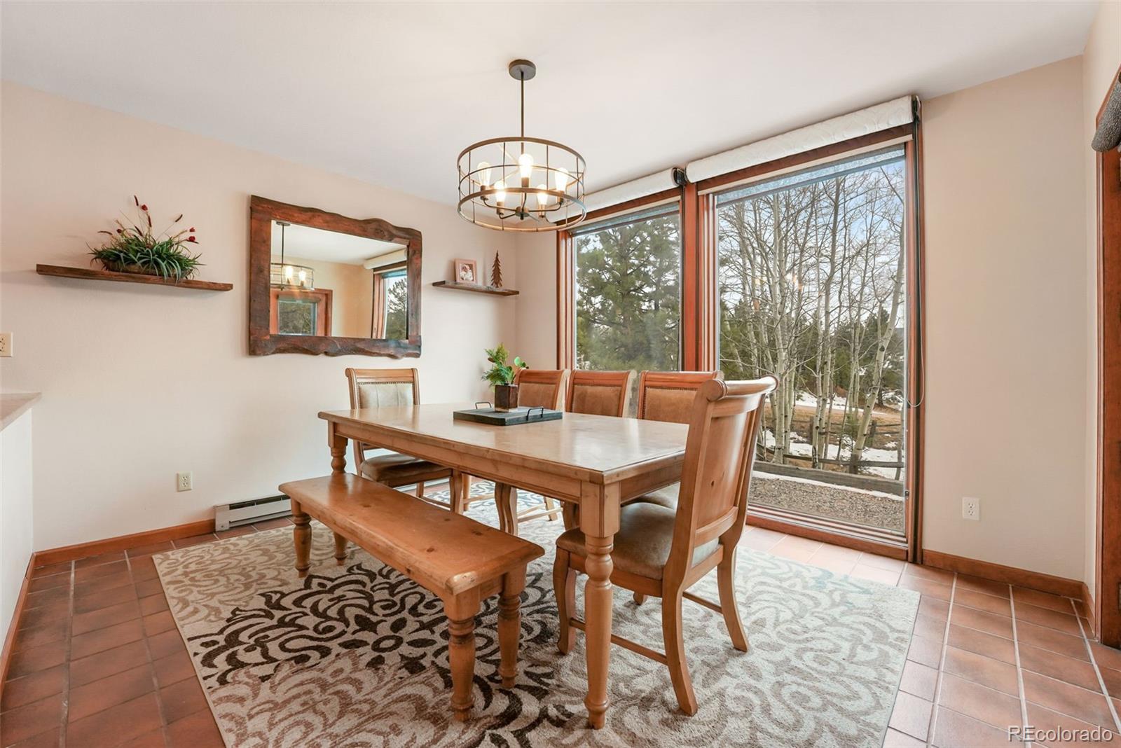 MLS Image #10 for 220  morning sun drive,woodland park, Colorado