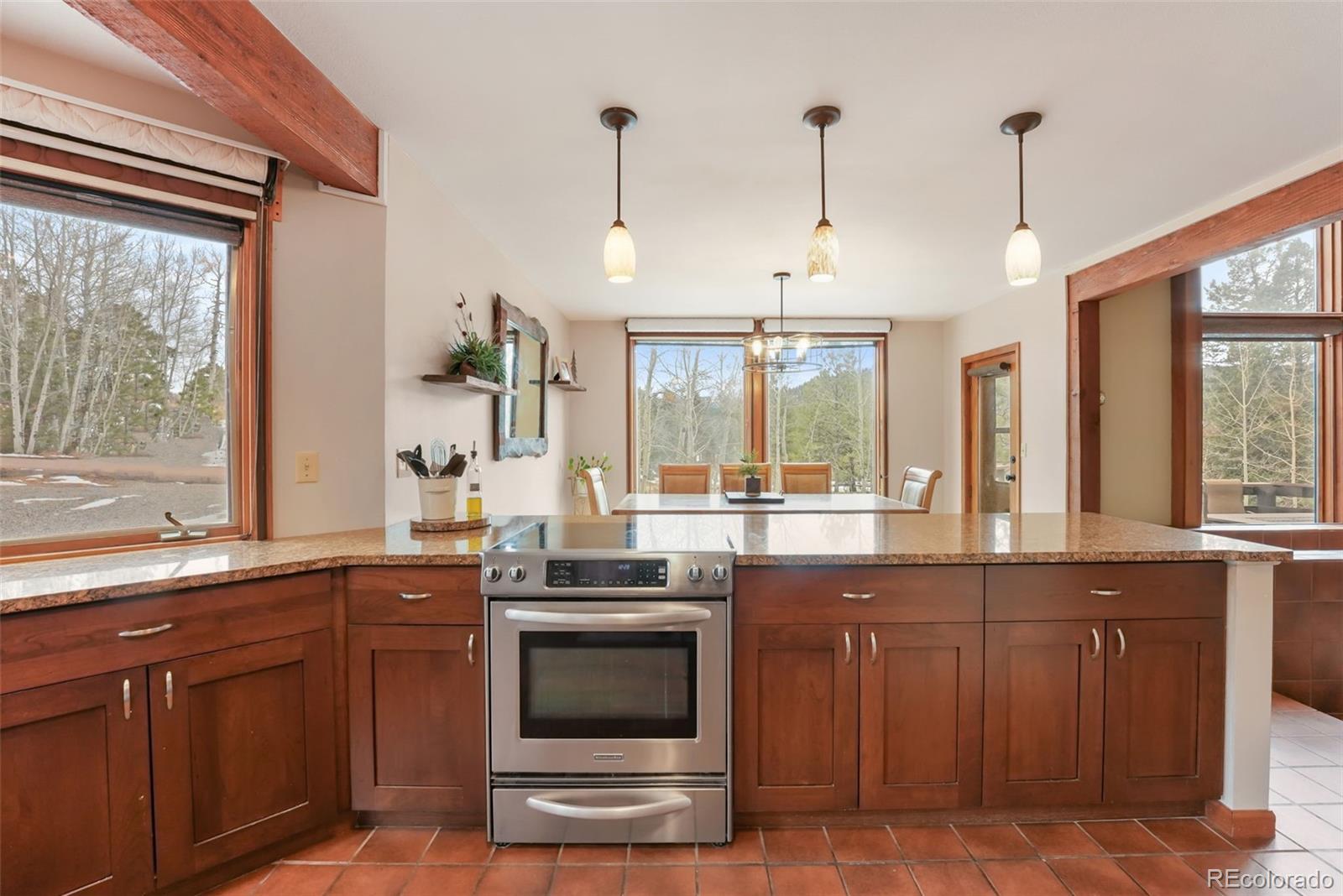 MLS Image #13 for 220  morning sun drive,woodland park, Colorado