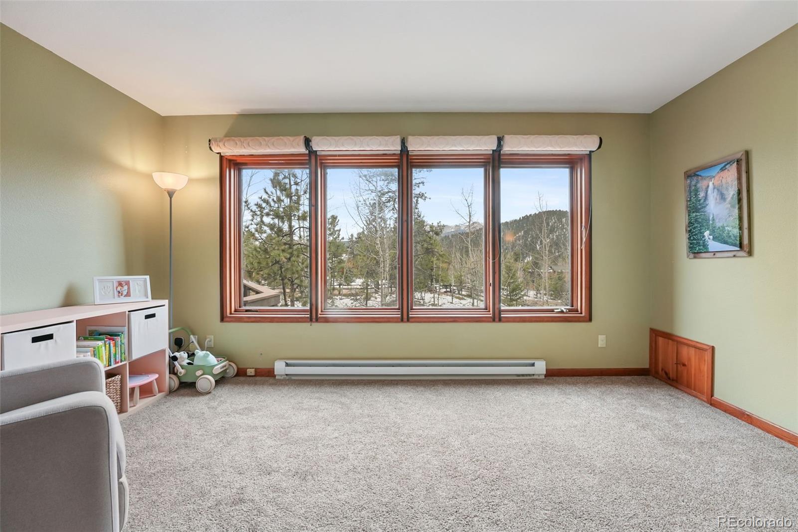 MLS Image #19 for 220  morning sun drive,woodland park, Colorado