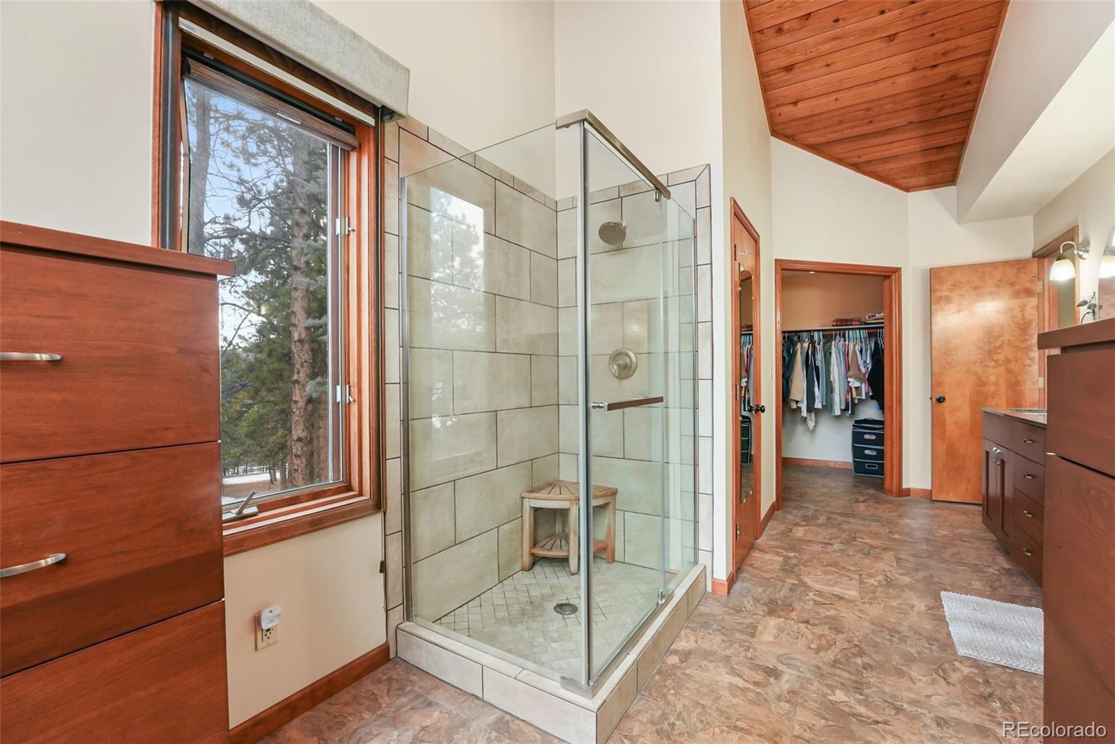 MLS Image #26 for 220  morning sun drive,woodland park, Colorado