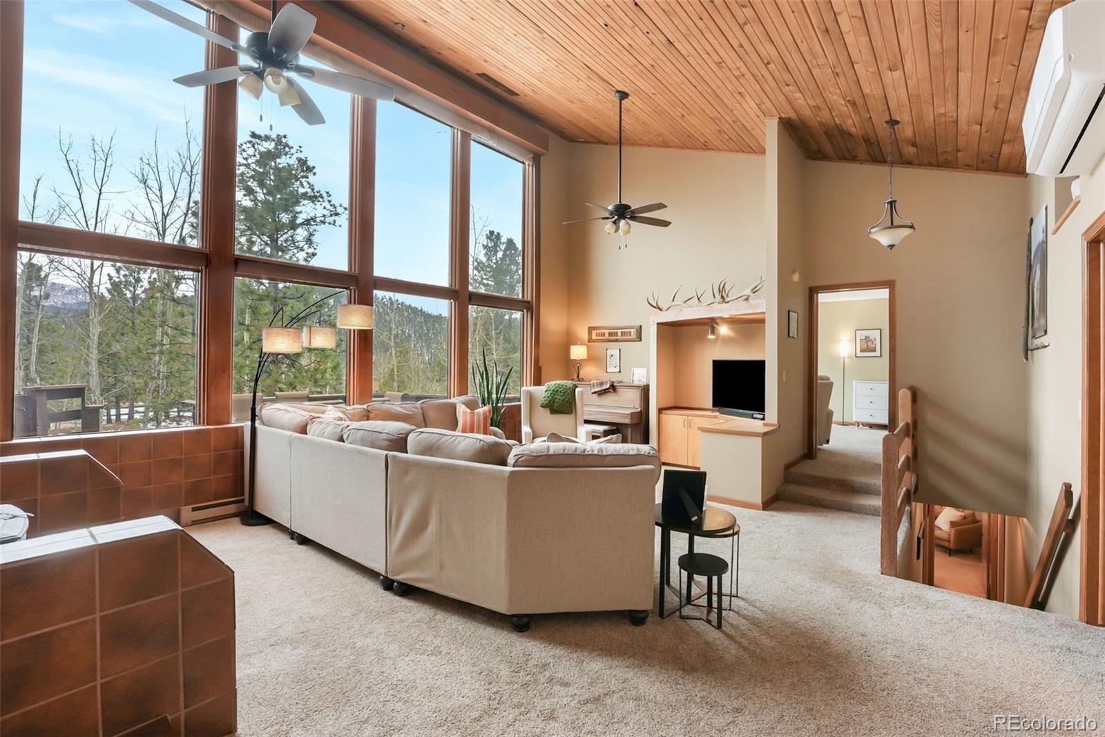 MLS Image #27 for 220  morning sun drive,woodland park, Colorado