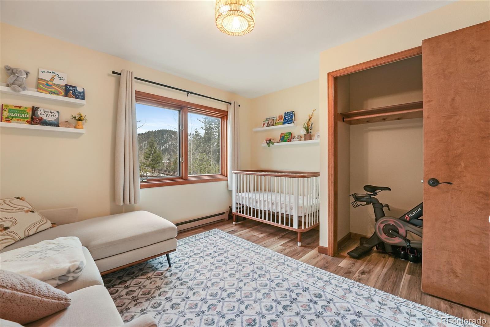 MLS Image #28 for 220  morning sun drive,woodland park, Colorado