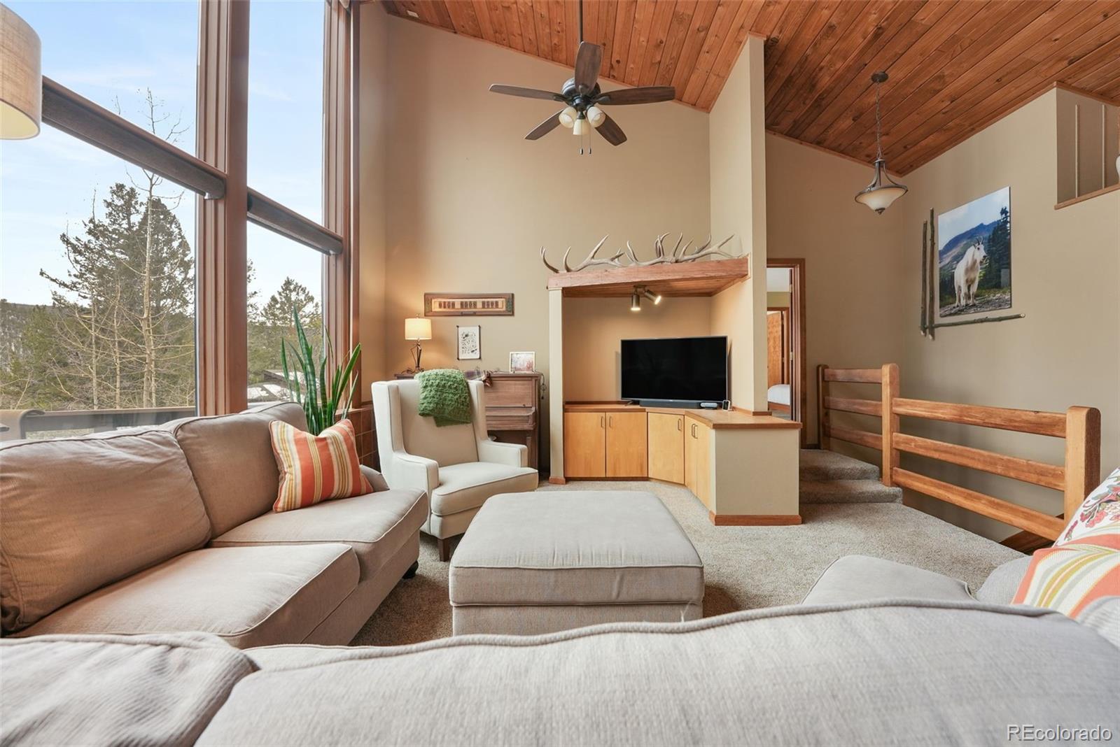 MLS Image #3 for 220  morning sun drive,woodland park, Colorado