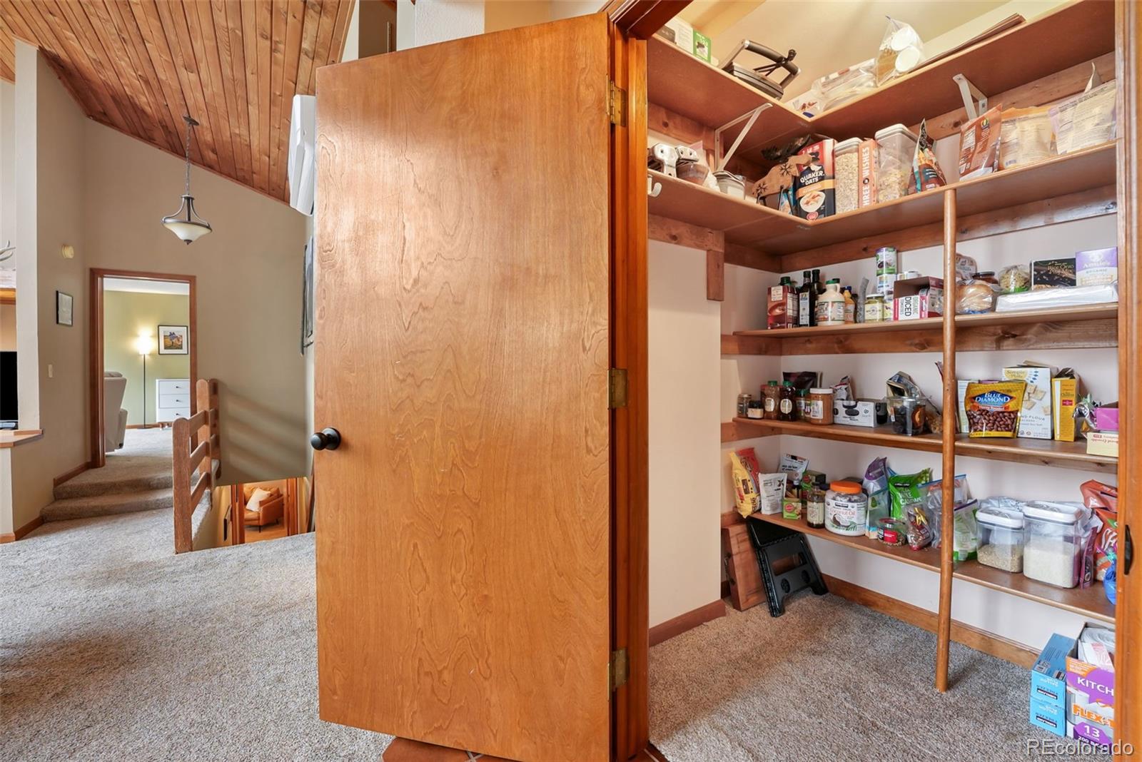 MLS Image #35 for 220  morning sun drive,woodland park, Colorado