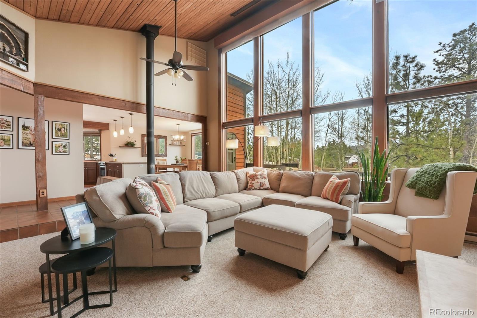 MLS Image #6 for 220  morning sun drive,woodland park, Colorado
