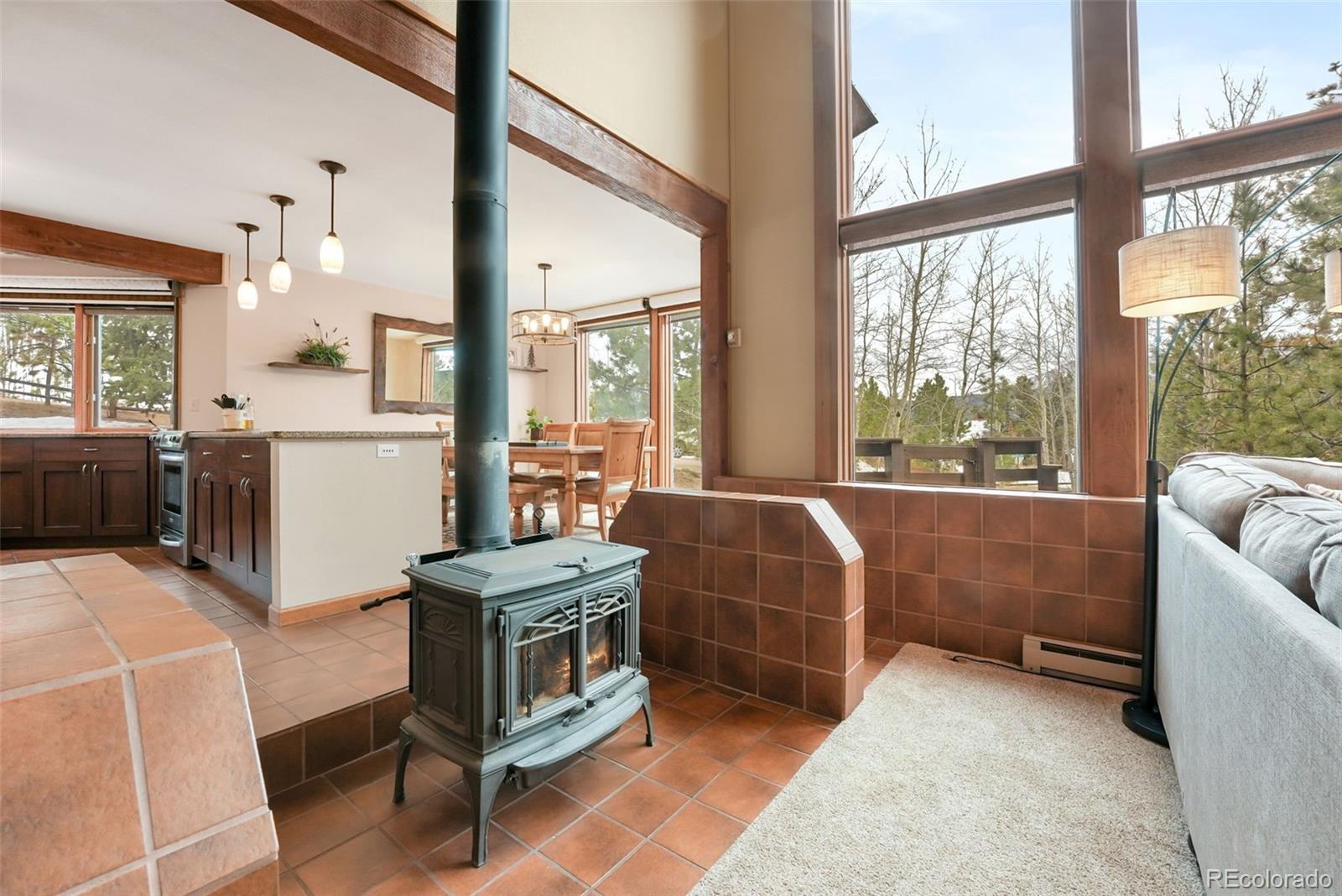MLS Image #8 for 220  morning sun drive,woodland park, Colorado