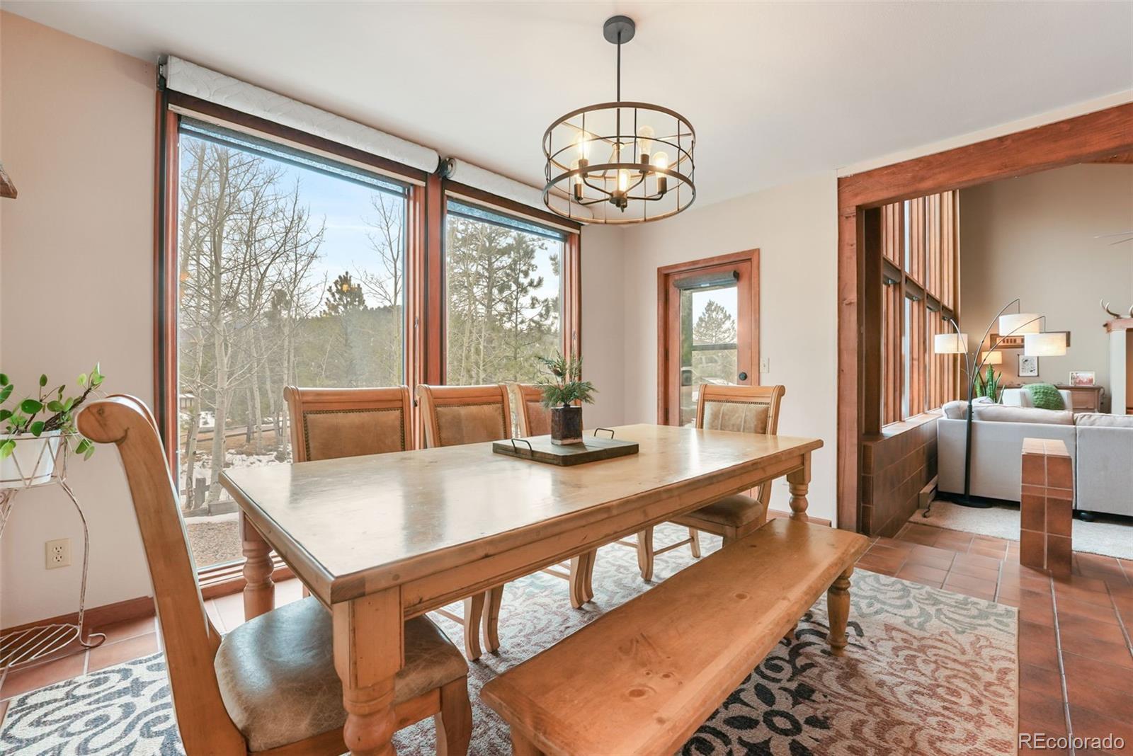 MLS Image #9 for 220  morning sun drive,woodland park, Colorado