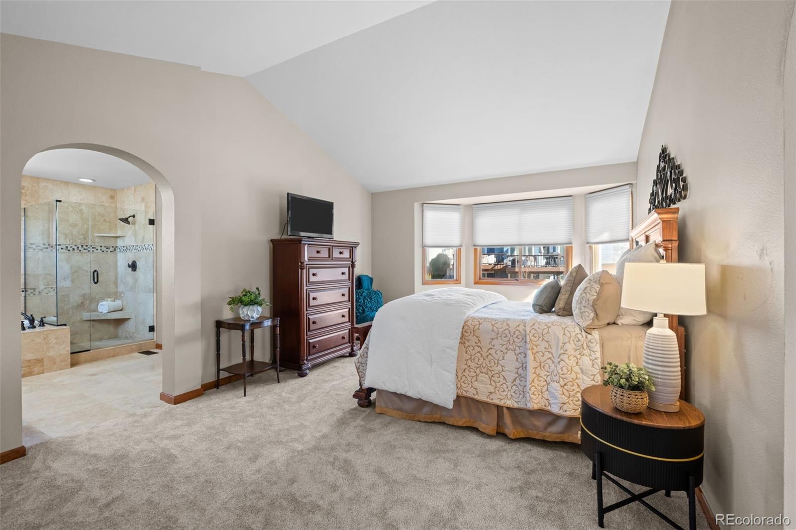 MLS Image #16 for 9674  kalamere court,highlands ranch, Colorado