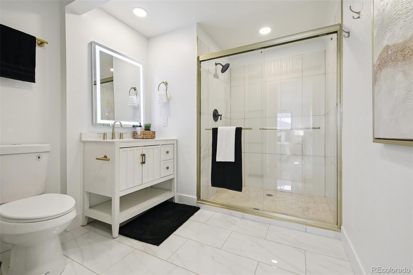 MLS Image #5 for 256  king street,denver, Colorado