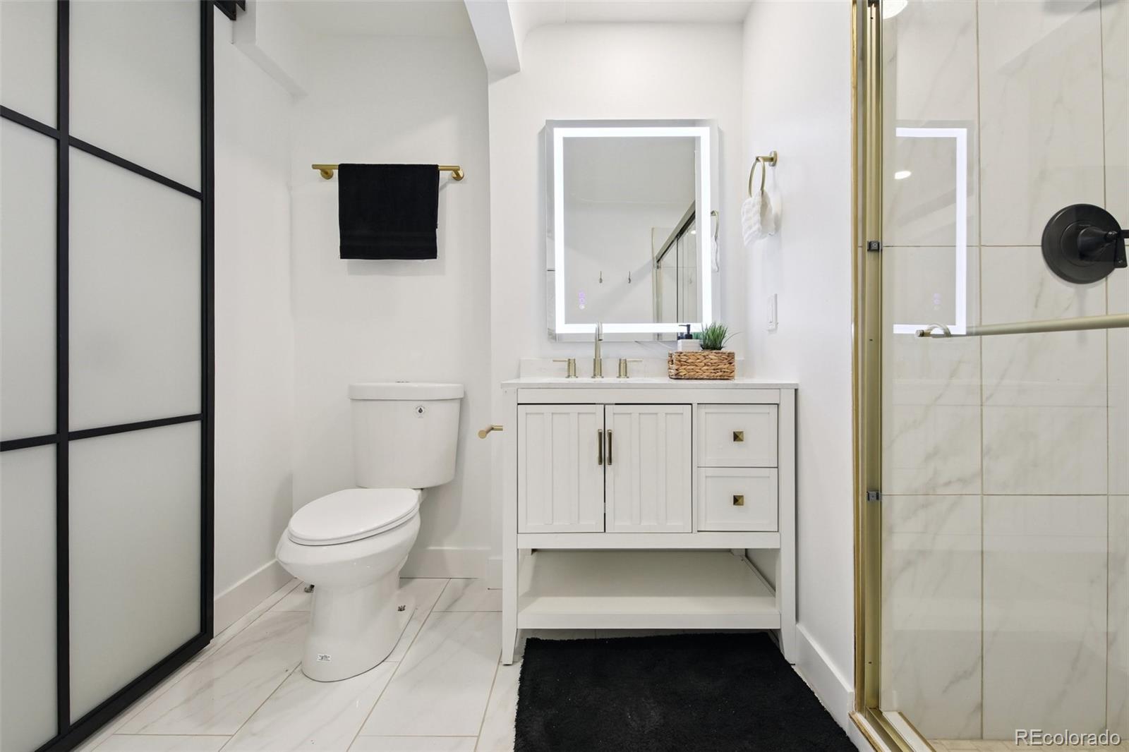 MLS Image #6 for 256  king street,denver, Colorado