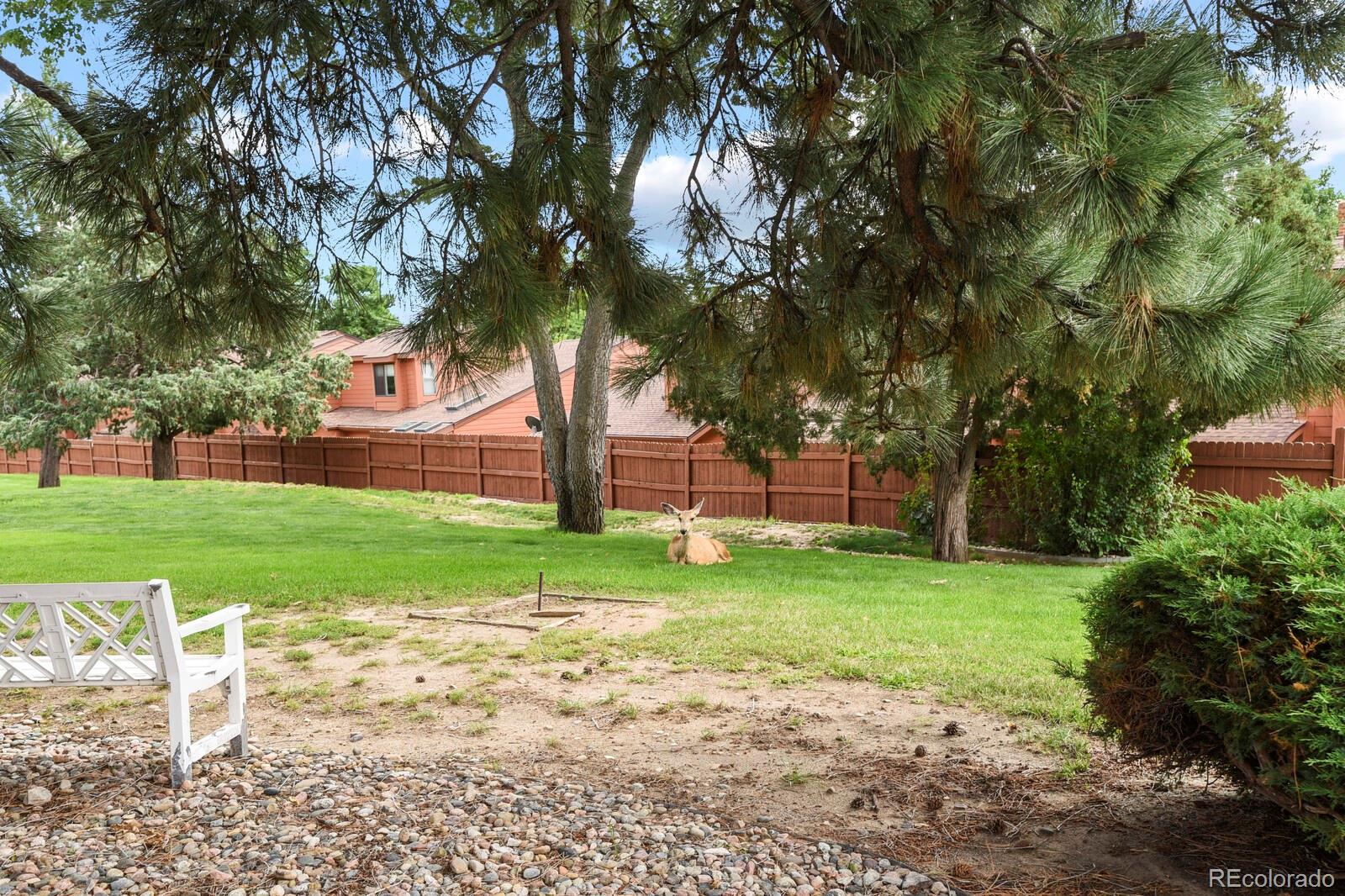 MLS Image #28 for 5024  secota lane ,colorado springs, Colorado