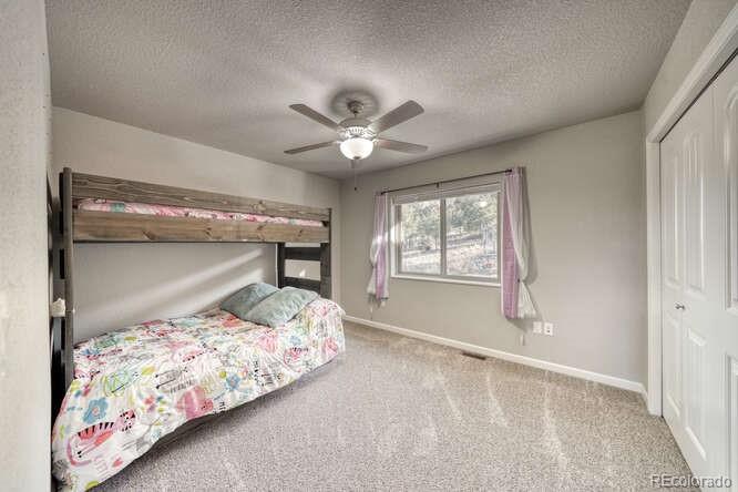MLS Image #24 for 1117  caliente lane,poncha springs, Colorado
