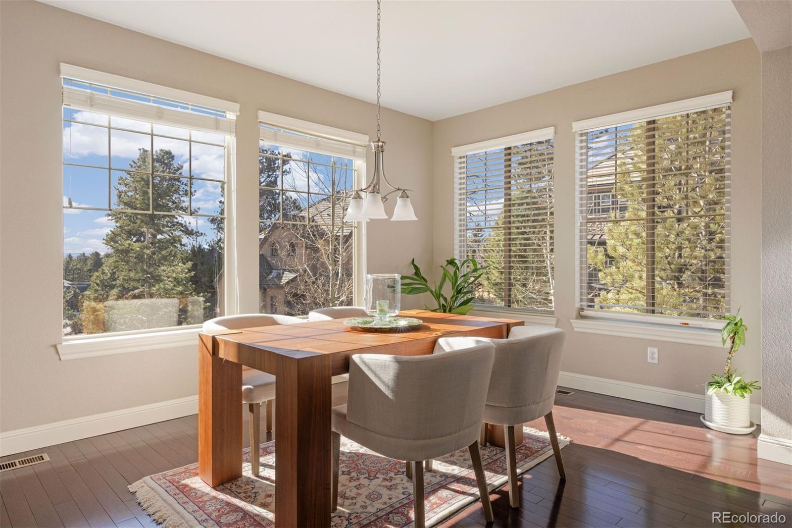 MLS Image #11 for 6861  northstar circle,castle rock, Colorado
