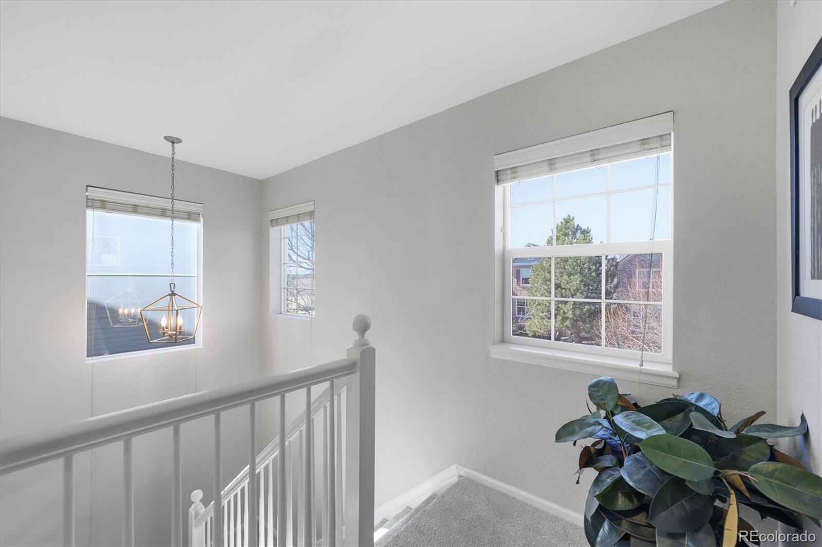 MLS Image #19 for 12438  james court,broomfield, Colorado