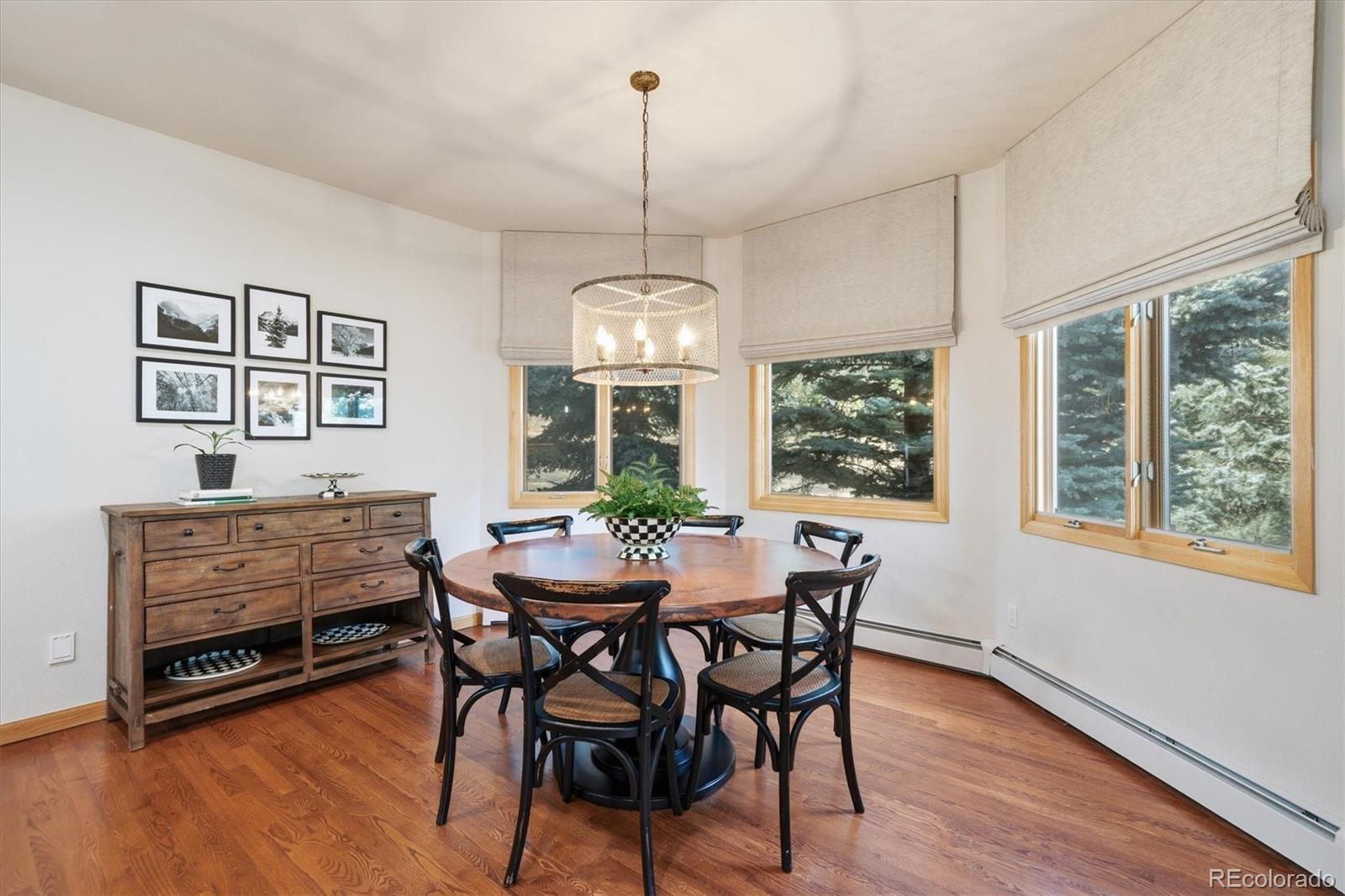 MLS Image #15 for 1513  belford court,evergreen, Colorado
