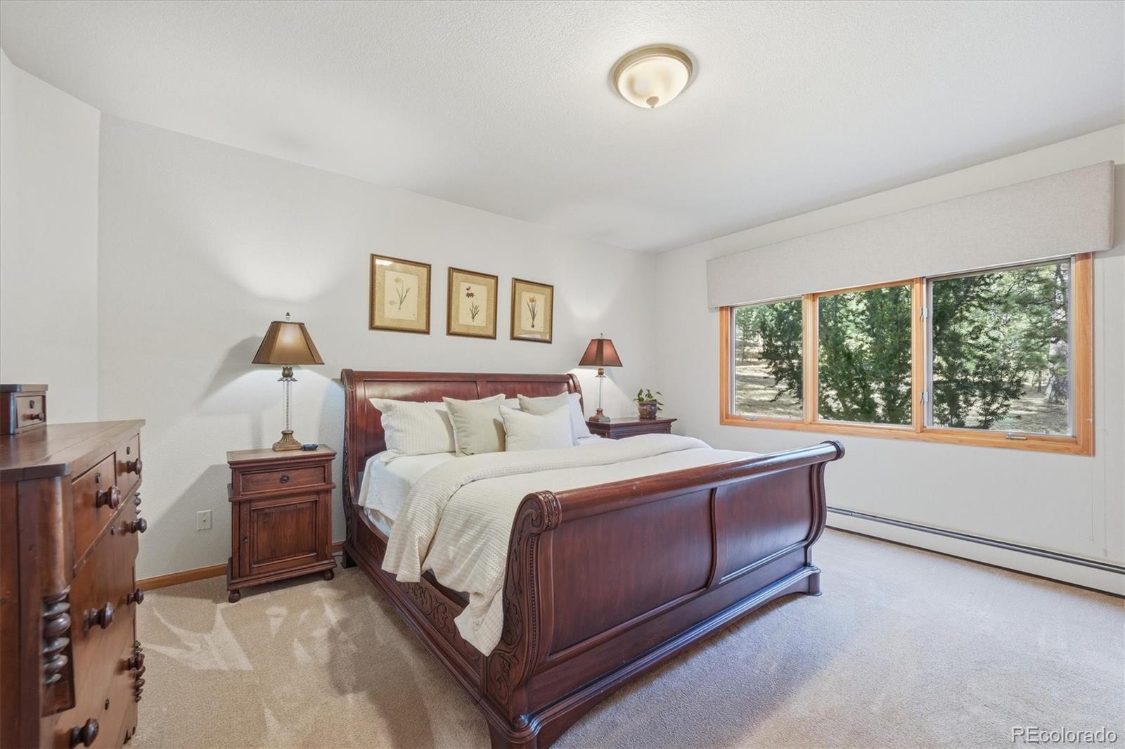 MLS Image #20 for 1513  belford court,evergreen, Colorado