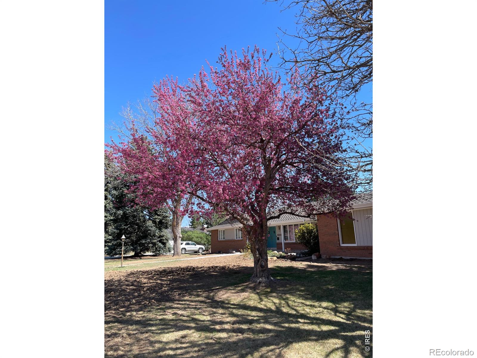 MLS Image #0 for 5860  wood sorrel drive,littleton, Colorado