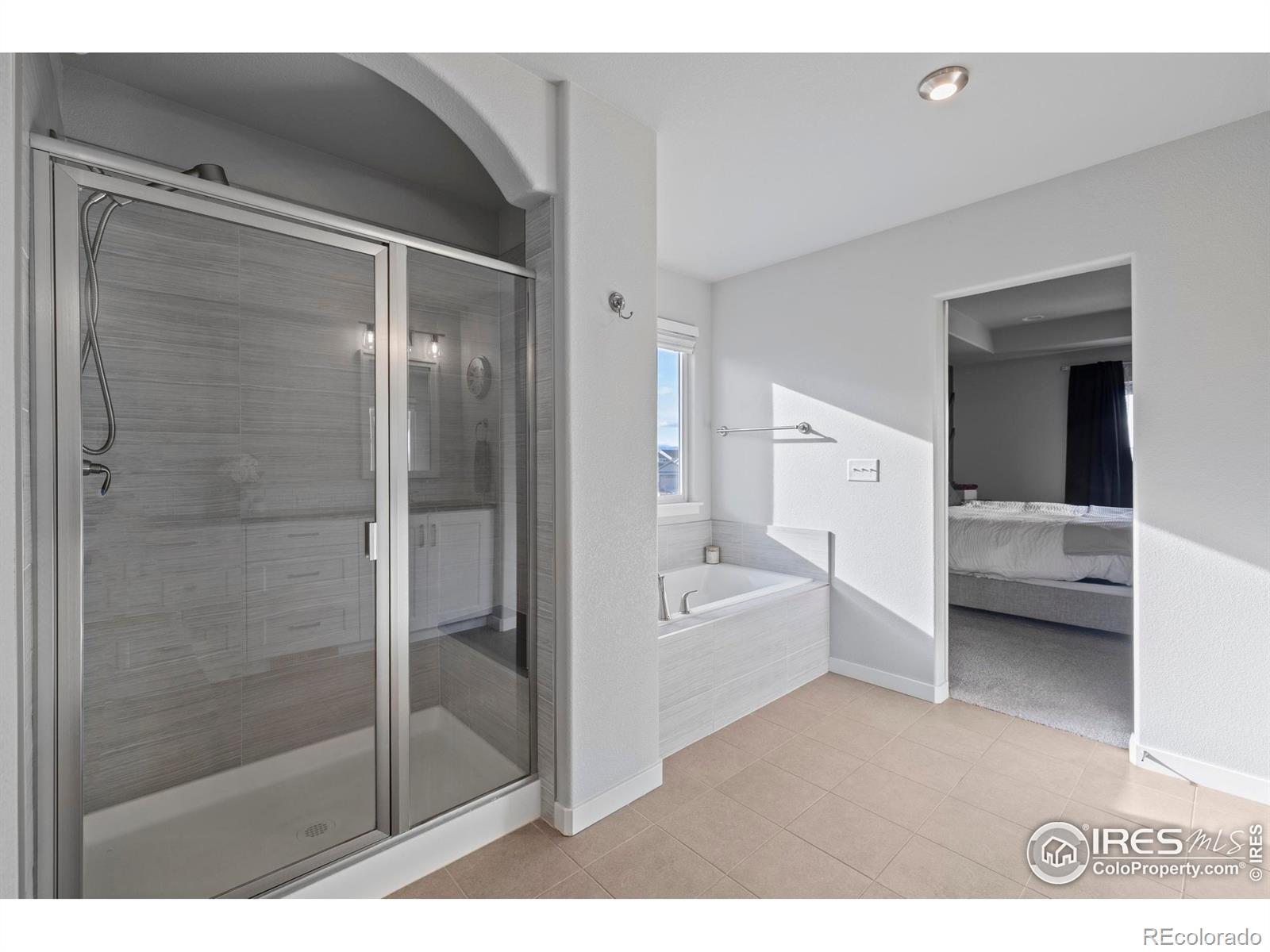 MLS Image #18 for 7142  cottage court,timnath, Colorado