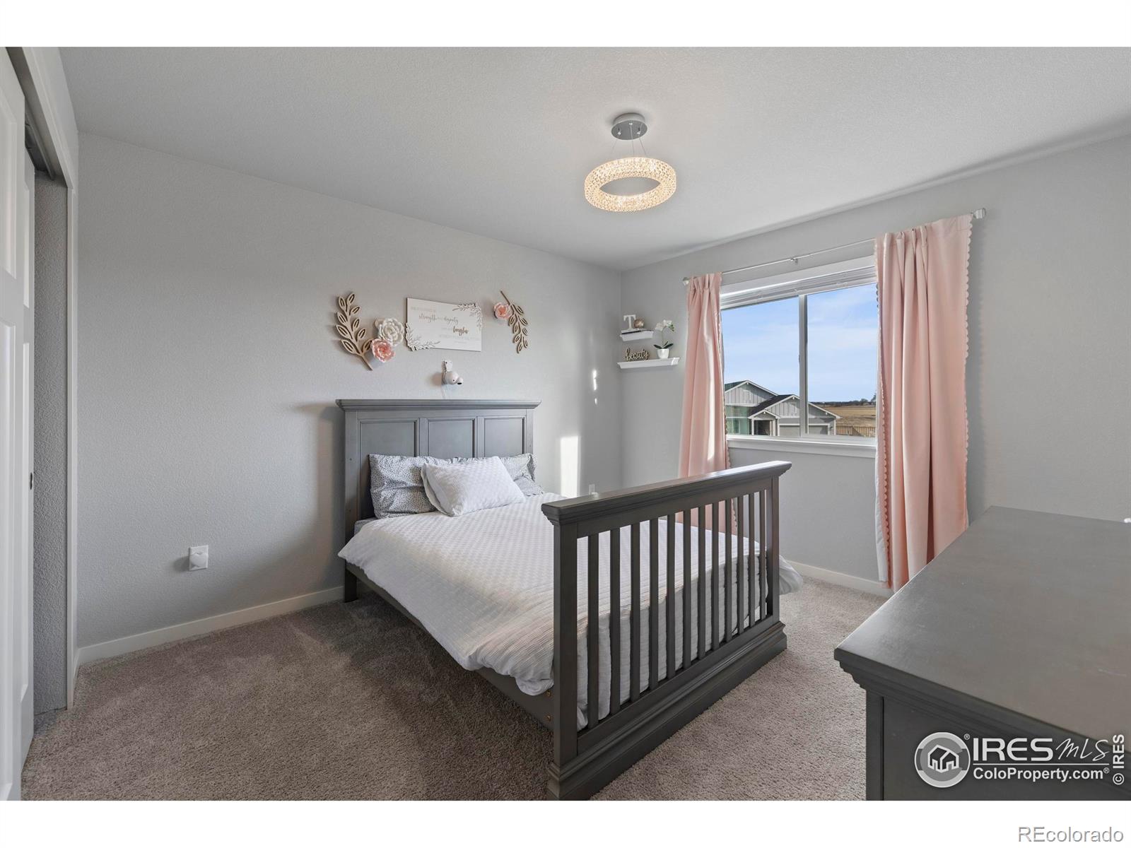 MLS Image #21 for 7142  cottage court,timnath, Colorado