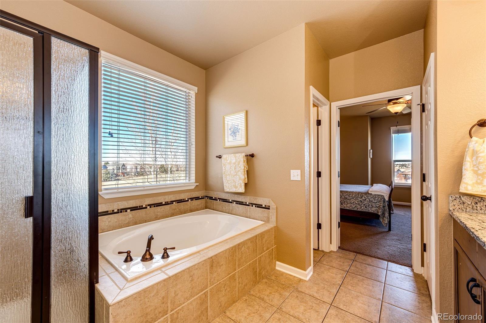 MLS Image #19 for 23515  branston lane,parker, Colorado