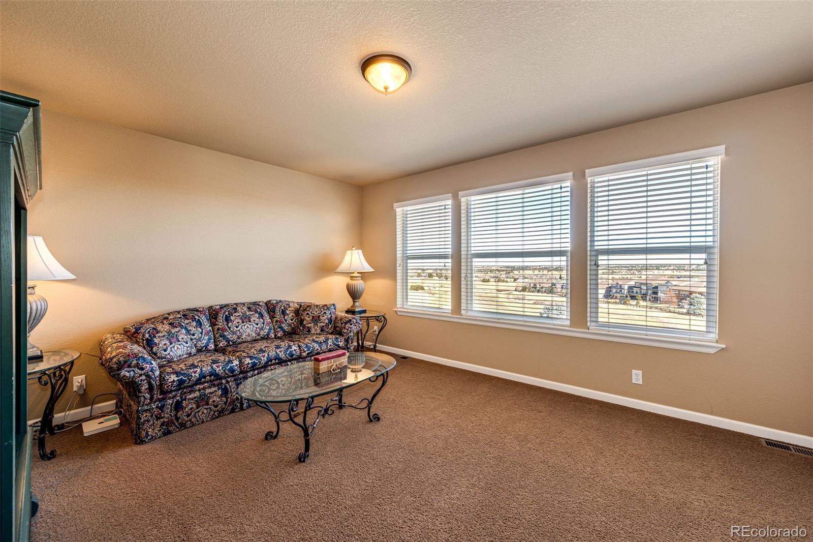 MLS Image #23 for 23515  branston lane,parker, Colorado