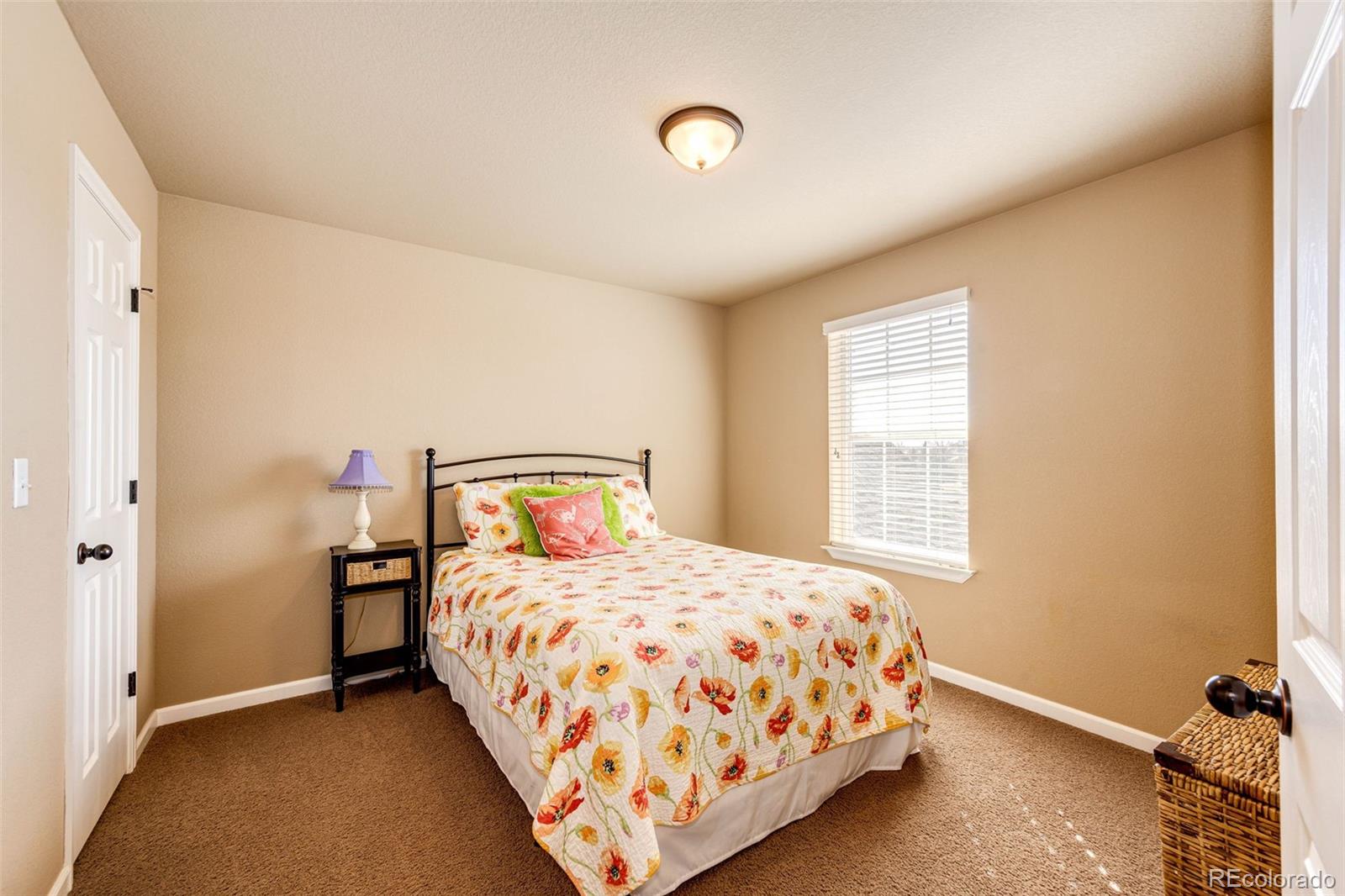 MLS Image #28 for 23515  branston lane,parker, Colorado