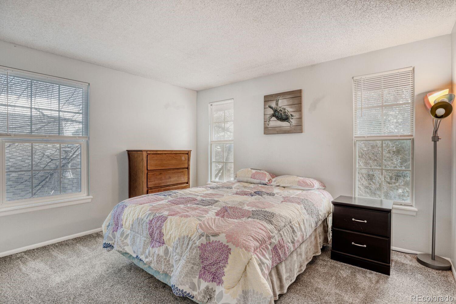 MLS Image #19 for 11446  san joaquin ridge,littleton, Colorado