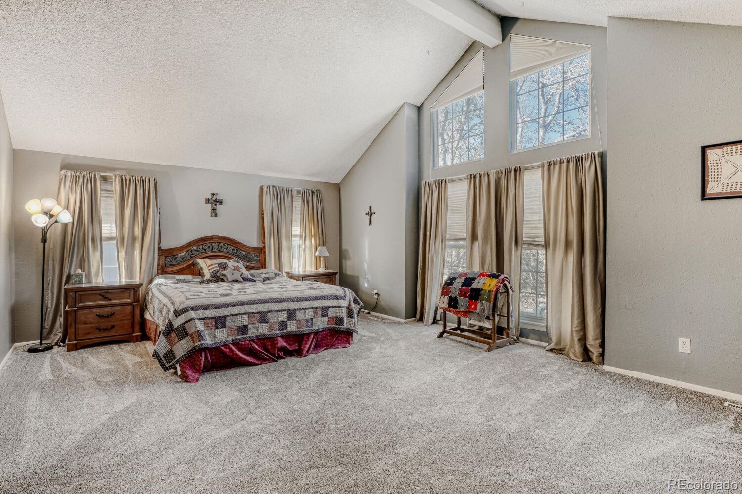 MLS Image #21 for 11446  san joaquin ridge,littleton, Colorado