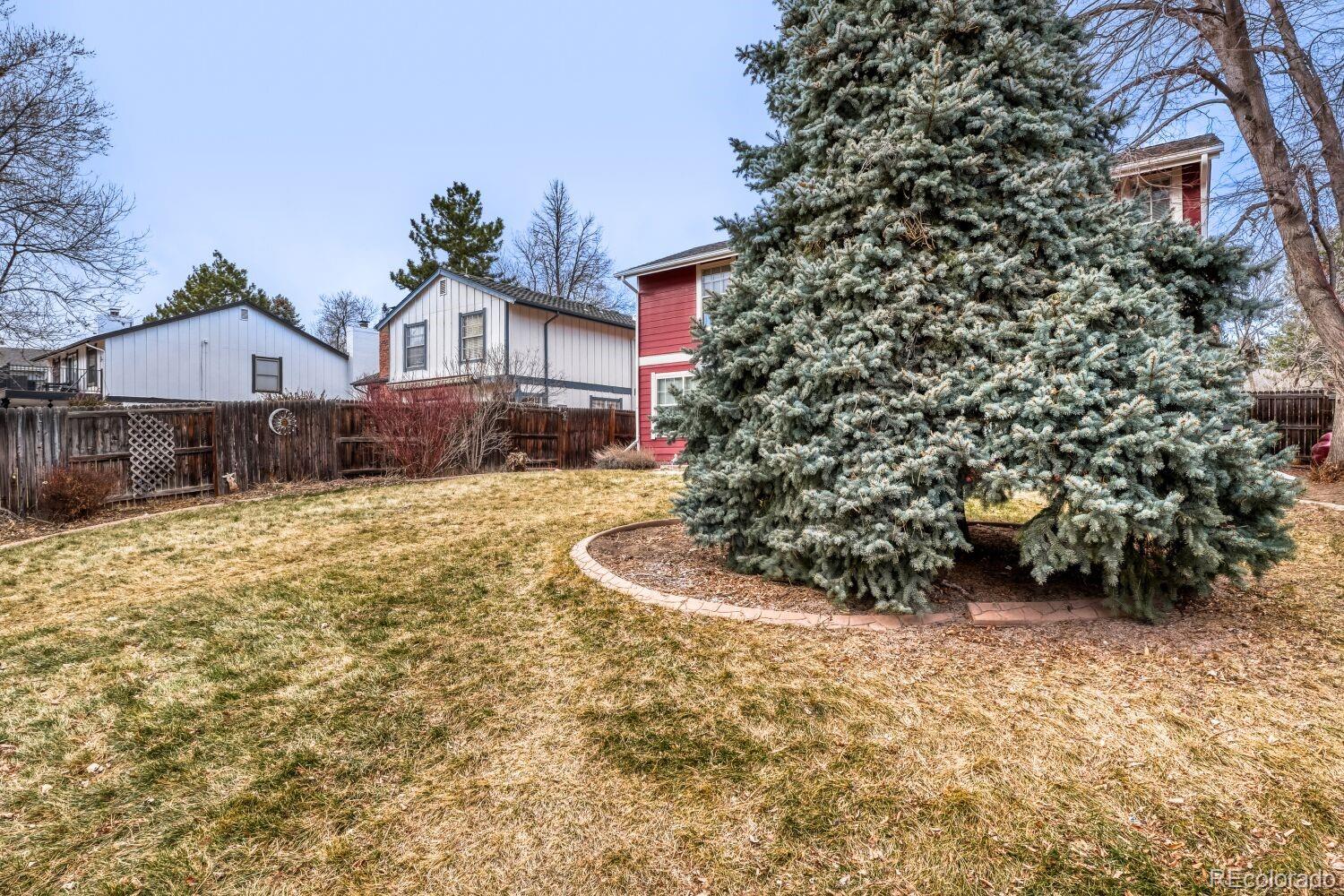 MLS Image #28 for 11446  san joaquin ridge,littleton, Colorado