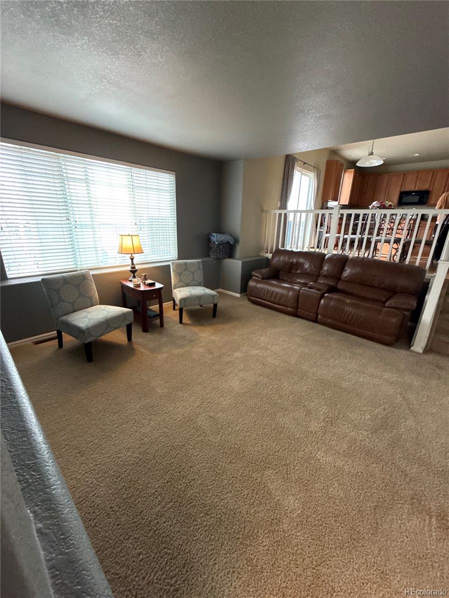 MLS Image #17 for 4041 s odessa street,aurora, Colorado