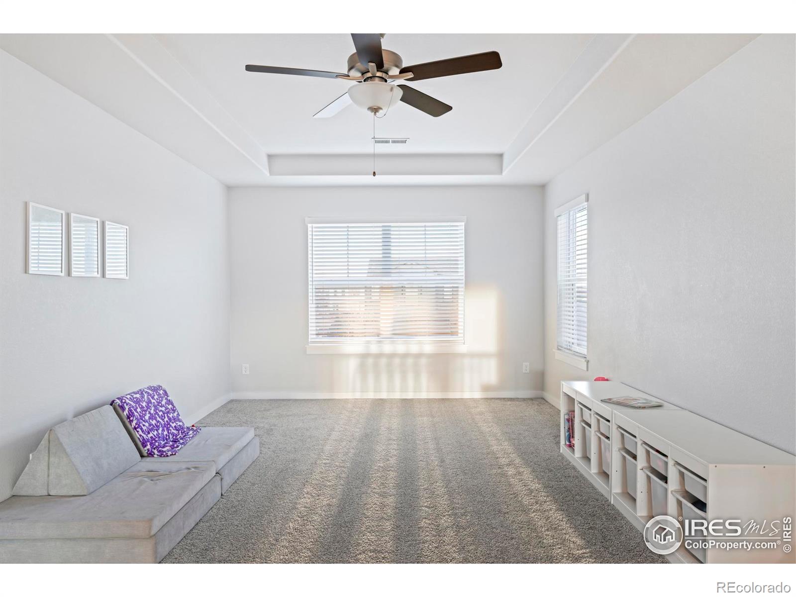 MLS Image #19 for 2144  setting sun drive,windsor, Colorado