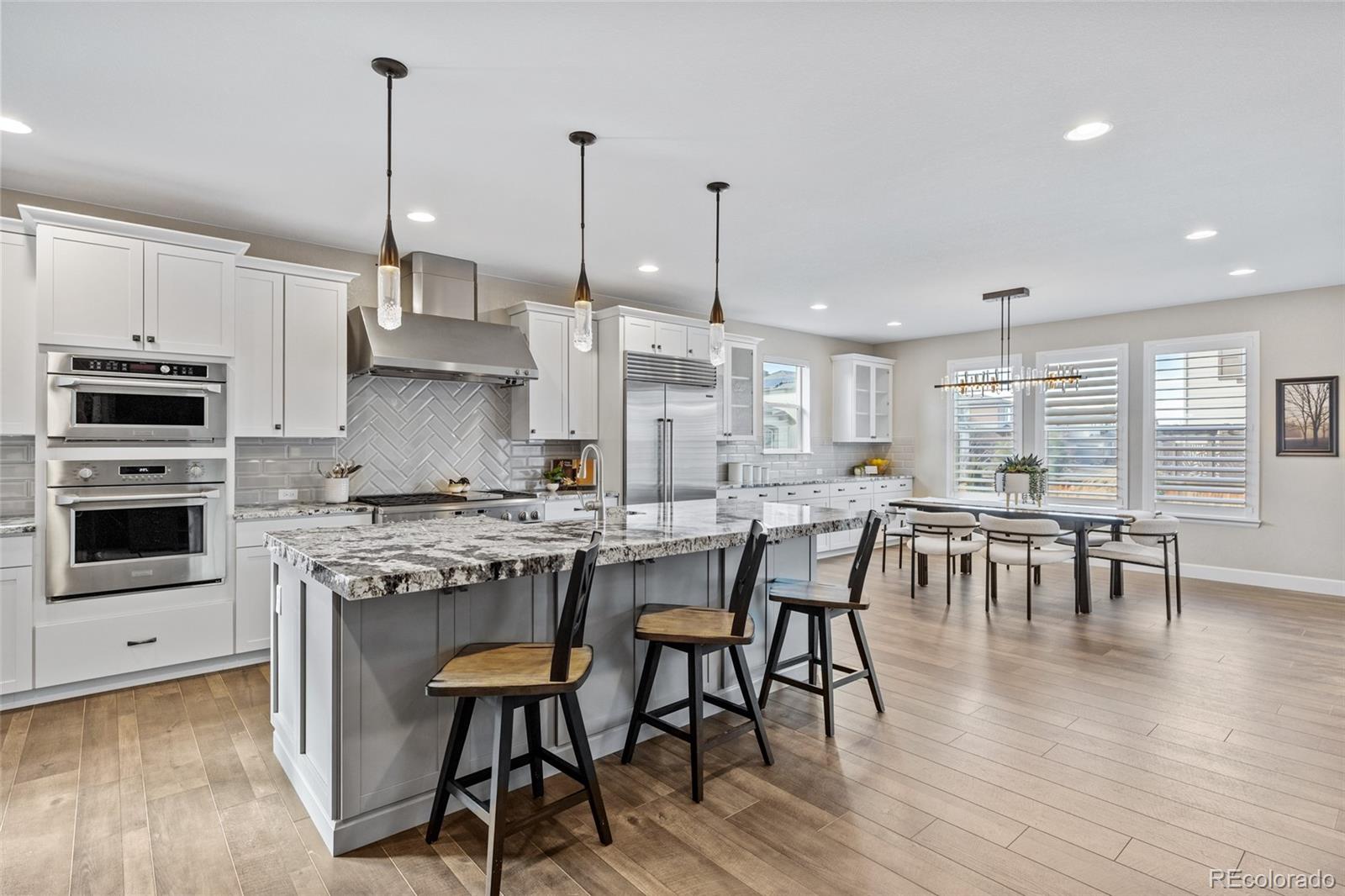 MLS Image #10 for 14649  tango loop,parker, Colorado