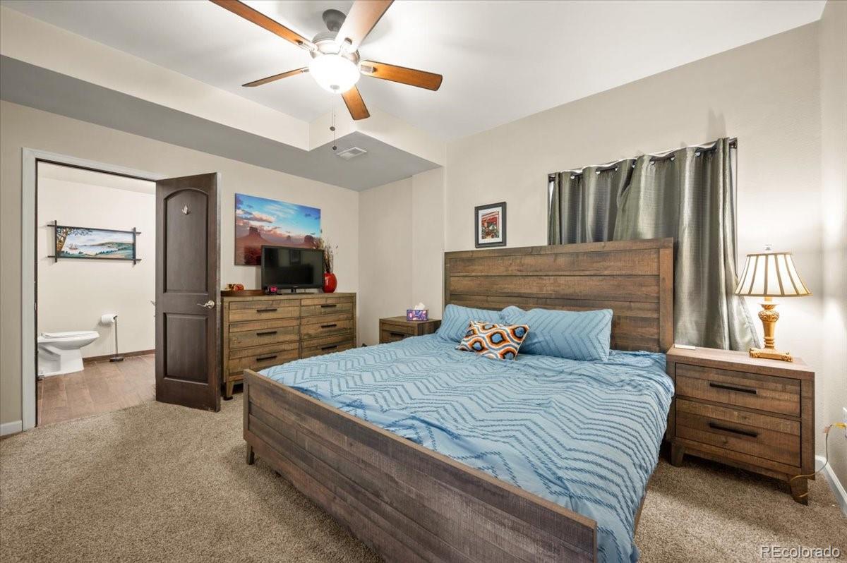 MLS Image #27 for 1313  single tree lane,erie, Colorado