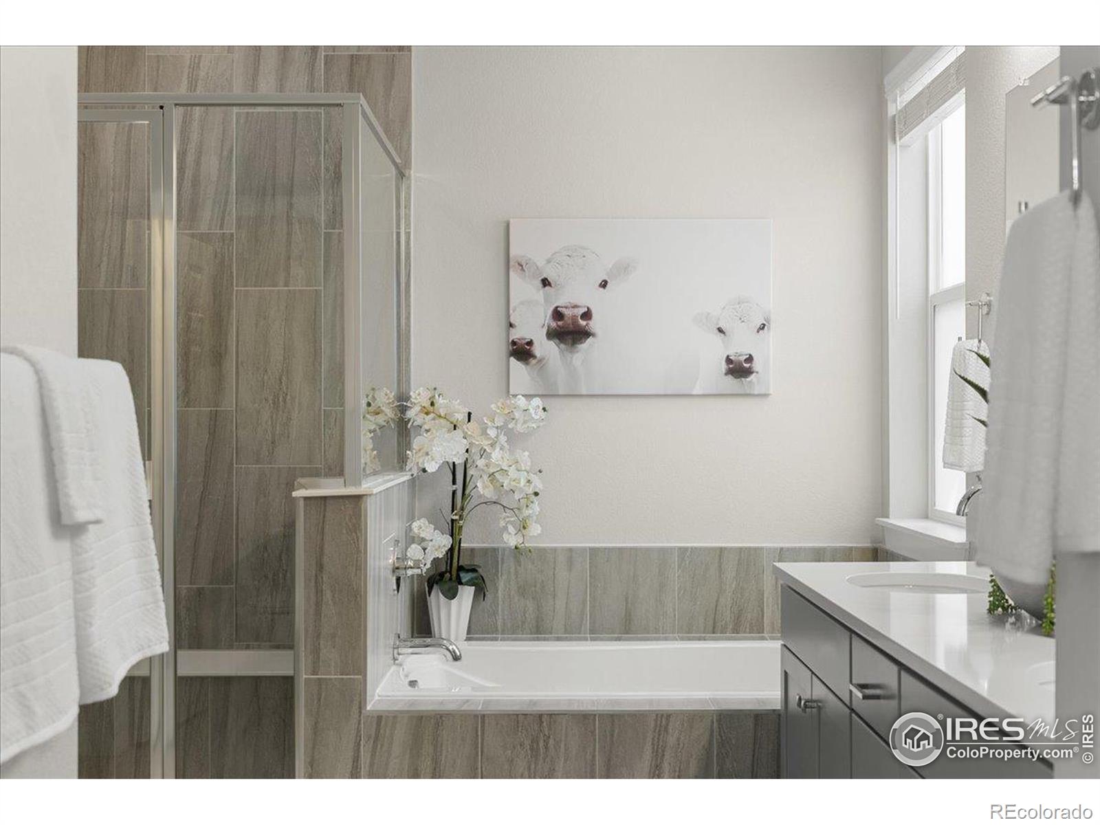 MLS Image #21 for 3138  booth falls drive,loveland, Colorado