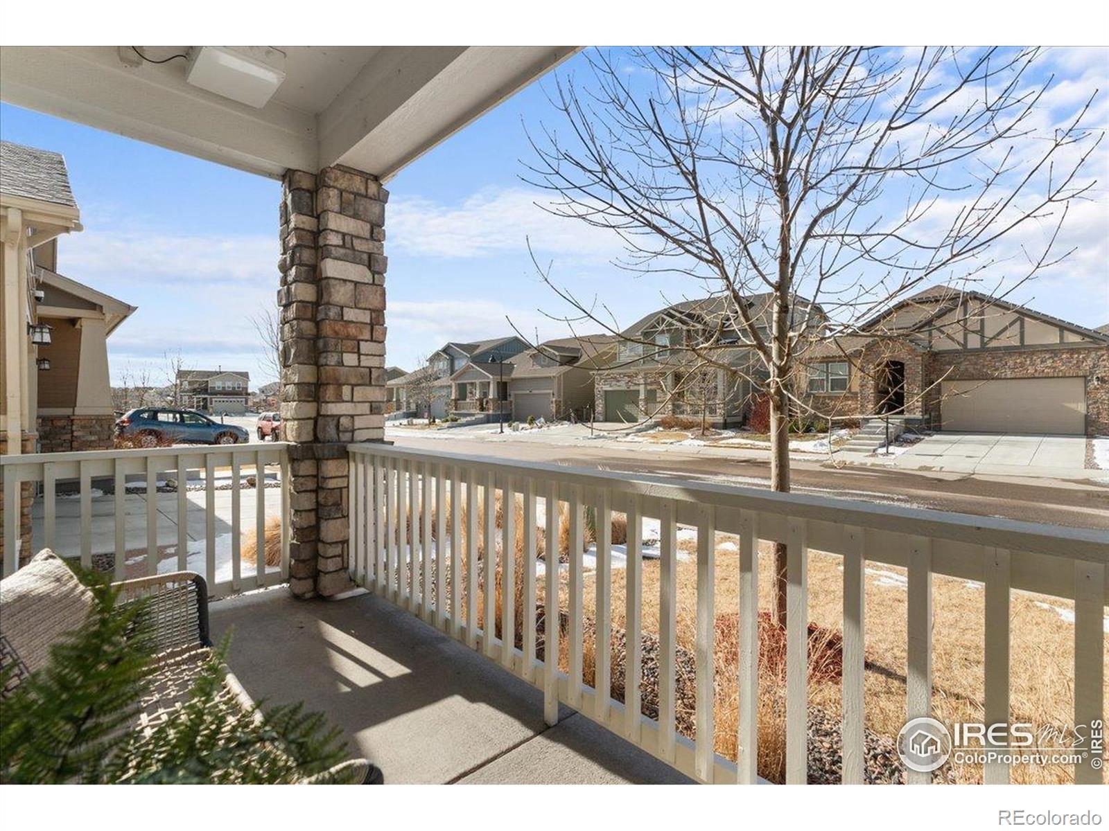 MLS Image #3 for 3138  booth falls drive,loveland, Colorado