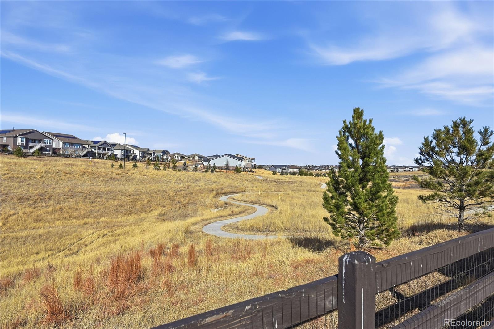 MLS Image #42 for 22601 e narrowleaf circle,aurora, Colorado