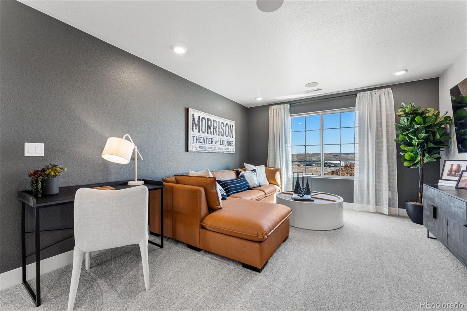 MLS Image #26 for 8754  yellowcress street,littleton, Colorado